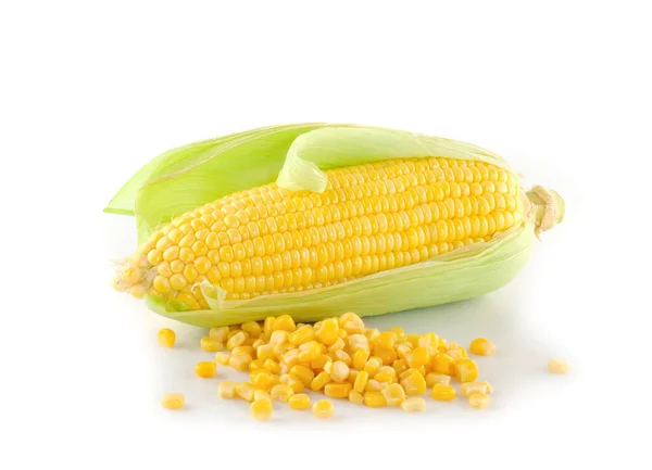 Corn Isolated White Background — Stock Photo, Image