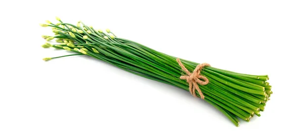 Schnittlauch Blume Oder Schnittlauch Isoliert Auf Weißem Hintergrund — Stockfoto