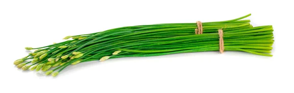 Flor Chives Chive Chino Aislado Sobre Fondo Blanco — Foto de Stock