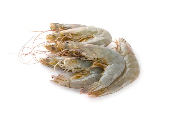 Isolat Crevettes Crues Sur Fond Blanc — Photo