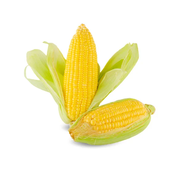 Fresh Corn Ears Leaves Set Isolated White Background — Stock Photo, Image