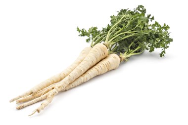 taze organik maydanoz