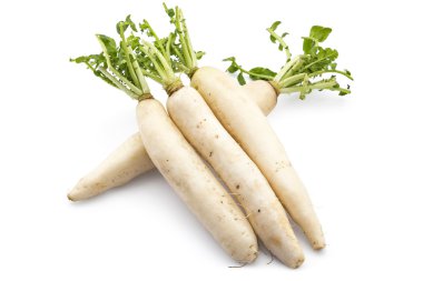 Taze organik daikon