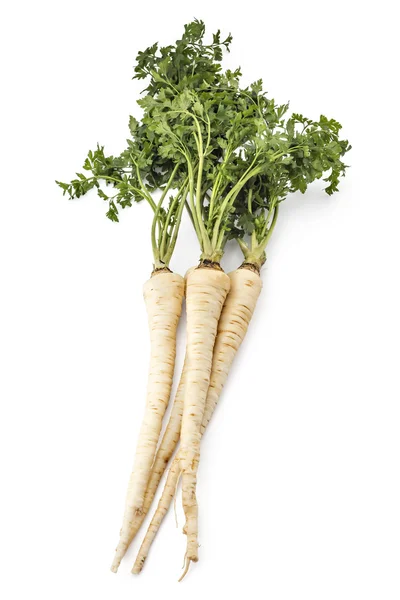 Fresh organic parsley — Stock Photo, Image