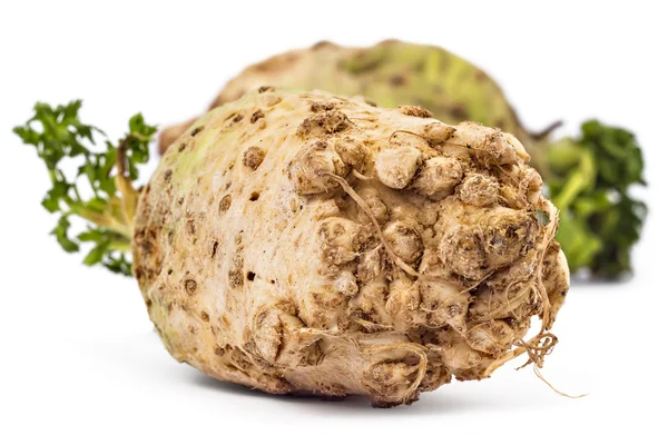 Raw celery roots — Stock Photo, Image