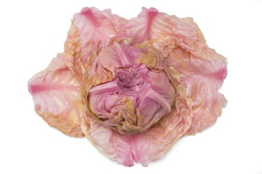 Lahana turşusu, ekşi,