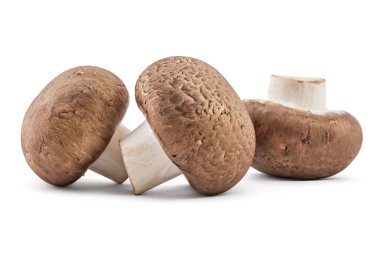 Taze çiğ kahverengi petrol