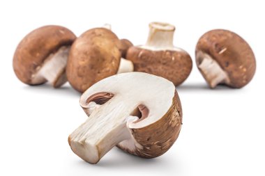 Taze çiğ kahverengi petrol