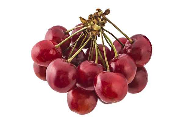 Cerezas orgánicas frescas maduras — Foto de Stock