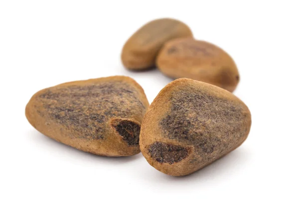 Nueces de cedro sin pelar — Foto de Stock