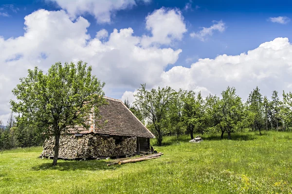 La montagne Tara — Photo