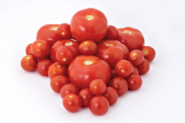 Pomodori — Foto Stock