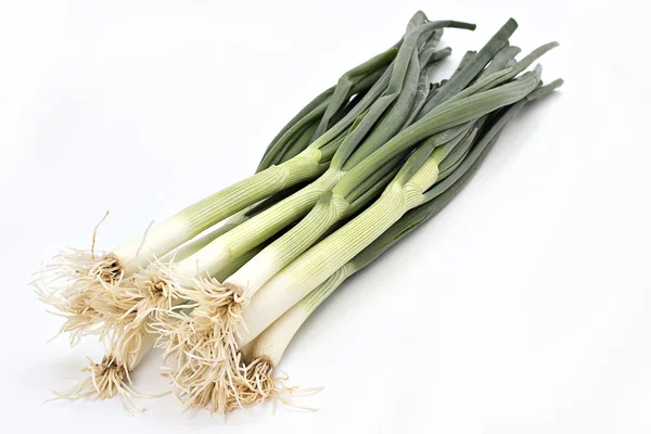 Green onion Stock Image
