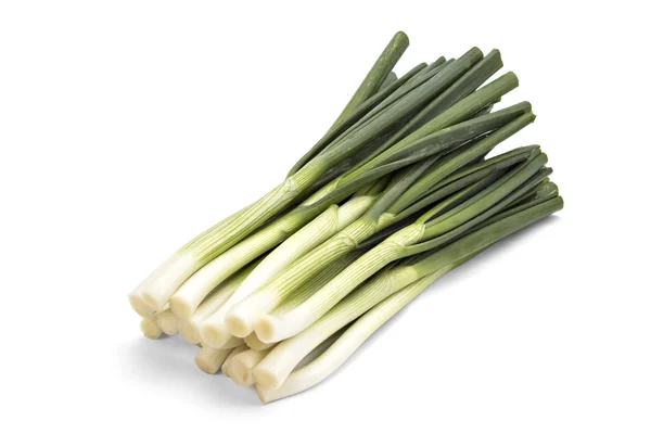 Green onion — Stock Photo, Image