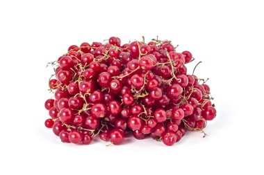 Taze kuş üzümü yığını