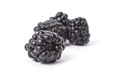 Taze olgun organik böğürtlen