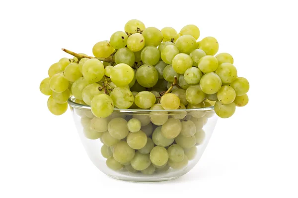Rijpe witte druiven — Stockfoto