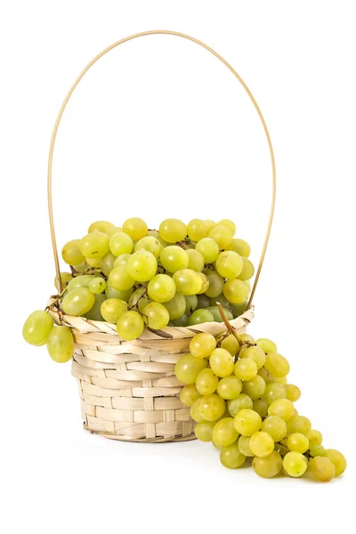 Rijpe witte druiven — Stockfoto