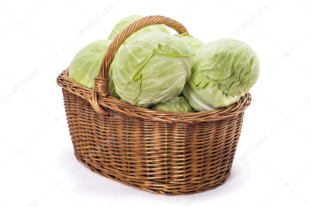 Fresh ripe cabbage