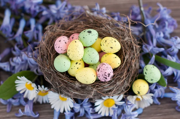 Andere kleur paaseieren — Stockfoto