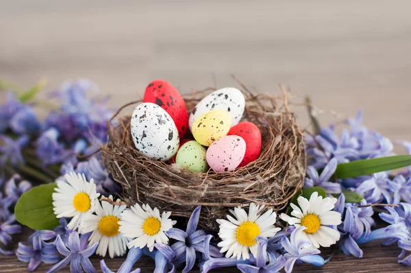 Different color Easter eggs — Stock Photo, Image