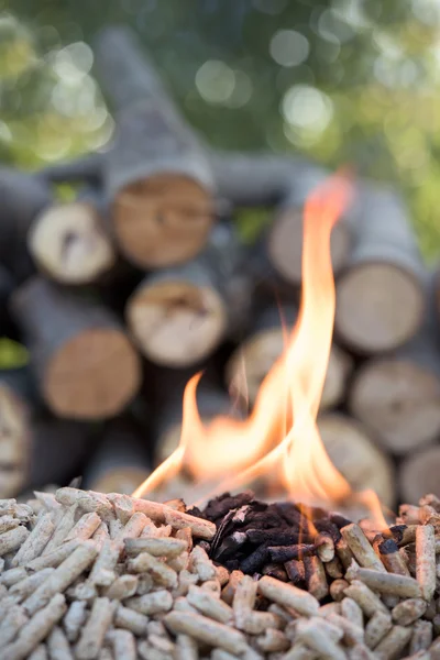Biomasa v plamenech — Stock fotografie