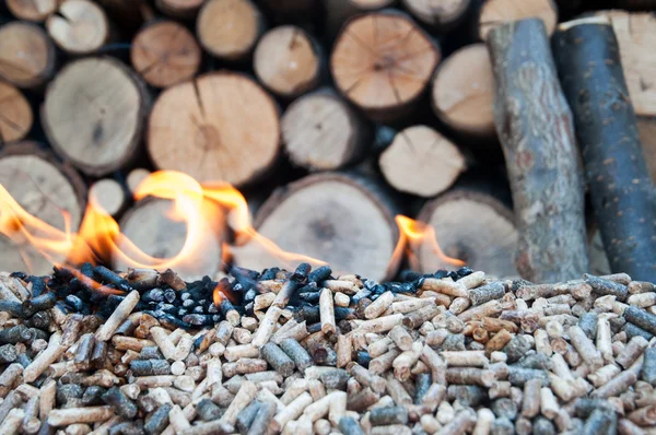 Peletts, biomass and woods — Stock Photo, Image