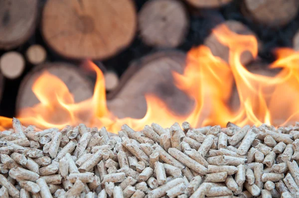 Burning oak  Pellets — Stock Photo, Image