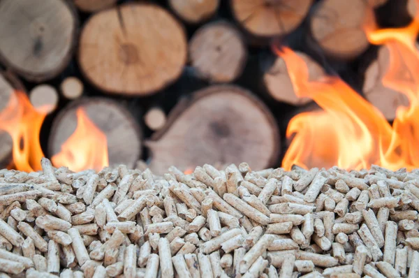 Eichenholzpellets in Flammen — Stockfoto