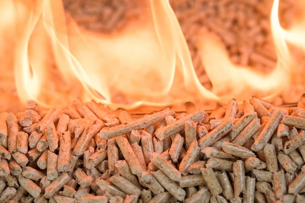 Haufen Nadelholzpellets Flammen Holzbiomasse lizenzfreie Stockbilder