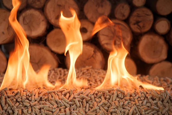 Haufen Nadelholzpellets Flammen Holzbiomasse Stockfoto