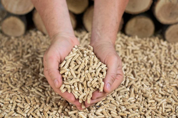 Man Hands Full Wood Pellets Renewable Energy Stock Picture