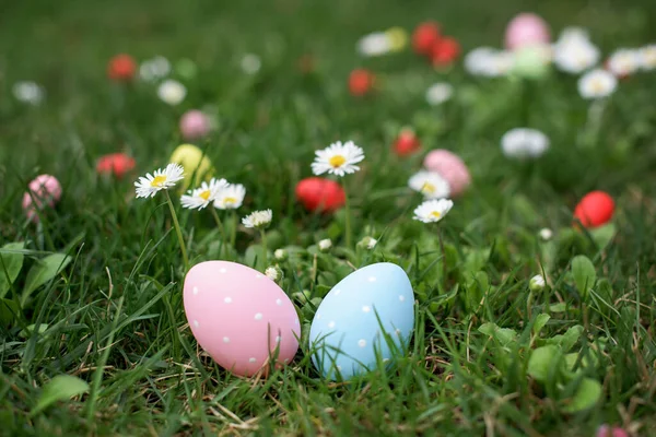 Oeufs Poule Pâques Bleu Rose Dans Une Herbe Verte Chasse — Photo