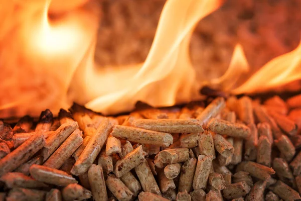 Nahaufnahme Eines Haufens Nadelholzpellets Flammen Holzbiomasse Stockbild