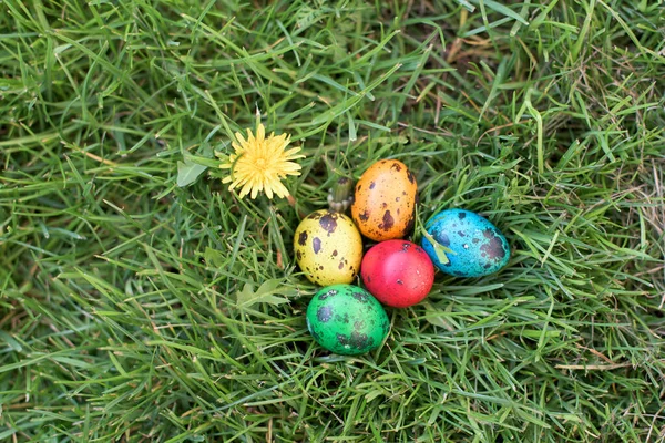 Hidden in the grass Easter eggs, which are painted in different colors