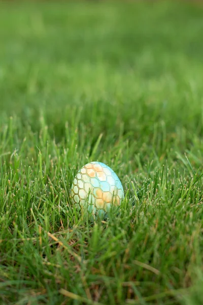 Hidden in the grass Easter egg, which is painted in different colors