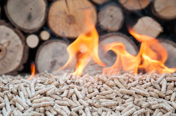 Pellets- Biomas — Stock Photo, Image