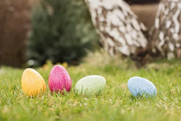 Easter hunt — Stock Photo, Image