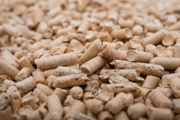 Pellets Biomass — Stock Photo, Image