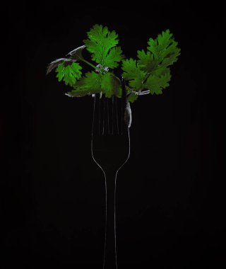 çatal siyah arkaplanda kişniş bırakır