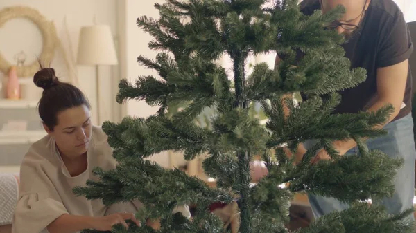 Couple in a home wear making up an artificial Christmas tree. Medium shot high-resolution photo Stok Resim