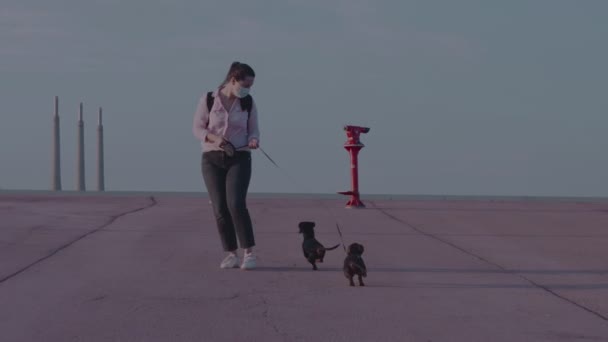 Temprano por la mañana o por la noche en un parque una joven caucásica con una máscara médica pasea dos cachorros dachshund corriendo — Vídeo de stock