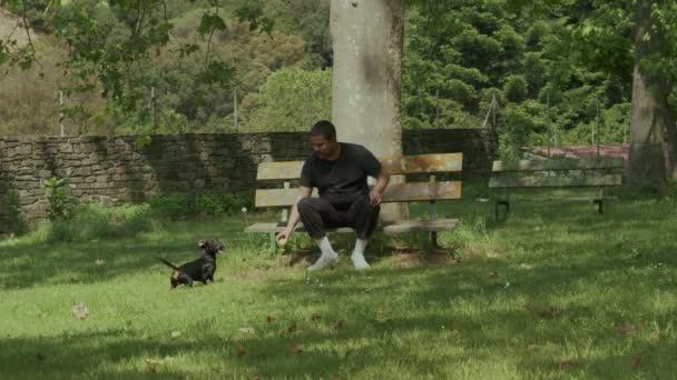 Un hombre negro de raza mixta se sienta en un banco y lanza la pelota a un perro en el parque o bosque. Vídeo en cámara lenta. — Vídeo de stock