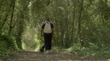 Melez bir siyah adam yürüyor ve bir köpekle birlikte ormanda bir ağaç sokağa atıyorlar. Yavaş çekim düşük açı kahraman izleme videosu.