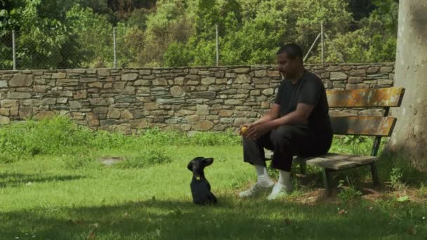 Un uomo nero di razza mista seduto su una panchina e che lancia la palla a un cane nel parco. Video al rallentatore. — Video Stock