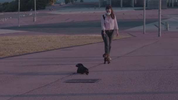 Evening in a park a caucasian girl in a mask walks two happy playing dachshund dogs — Stock Video