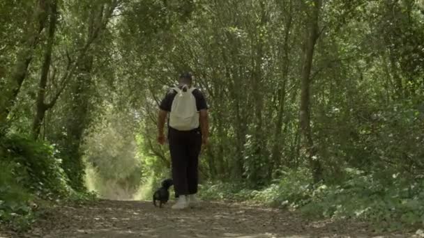 Un hombre negro de raza mixta a pie arroja un callejón de árboles en el bosque con un perro. cámara lenta de bajo ángulo héroe seguimiento disparo vídeo. — Vídeo de stock