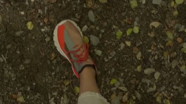 Ноги в спортивному взутті приходять до струмка води, що біжить на каменях під зеленими деревами в лісі. Висока якість відео — стокове відео