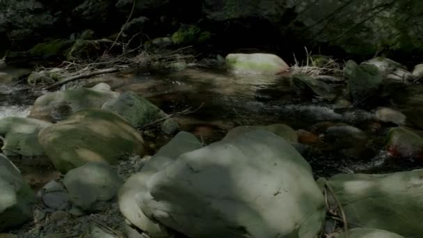 Потік води, що йде на камені під зеленими деревами в лісі. Низький кут зйомки відео високої якості — стокове відео