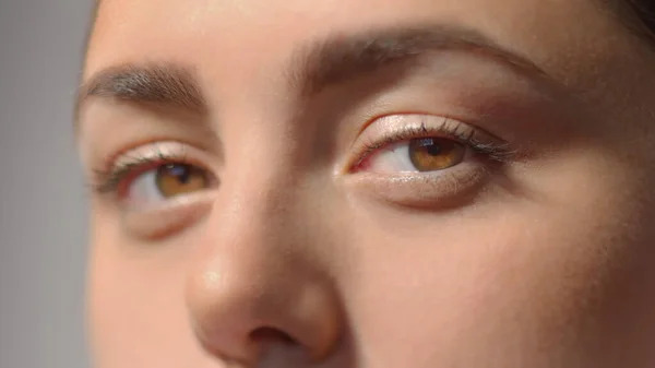 Hermosa dama caucásica con ojos marrones mirando a la cámara. Primer plano extremo. Imagen de foto de alta calidad. — Foto de Stock